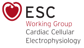 ESC Working Group on Cardiac Cellular Electrophysiology